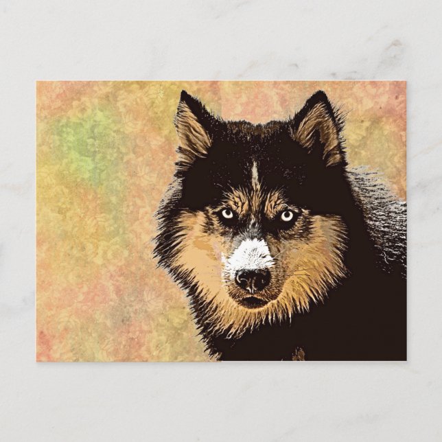 Siberian Husky Postcard Postkarte (Vorderseite)