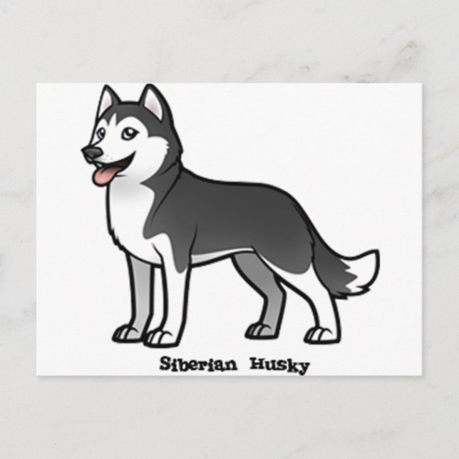 Siberian Husky Postkarte (Vorderseite)