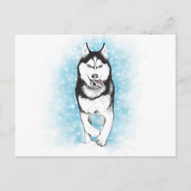 Siberian Husky Postkarte (Vorderseite)
