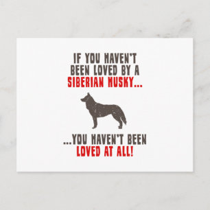 Siberian Husky Postkarte