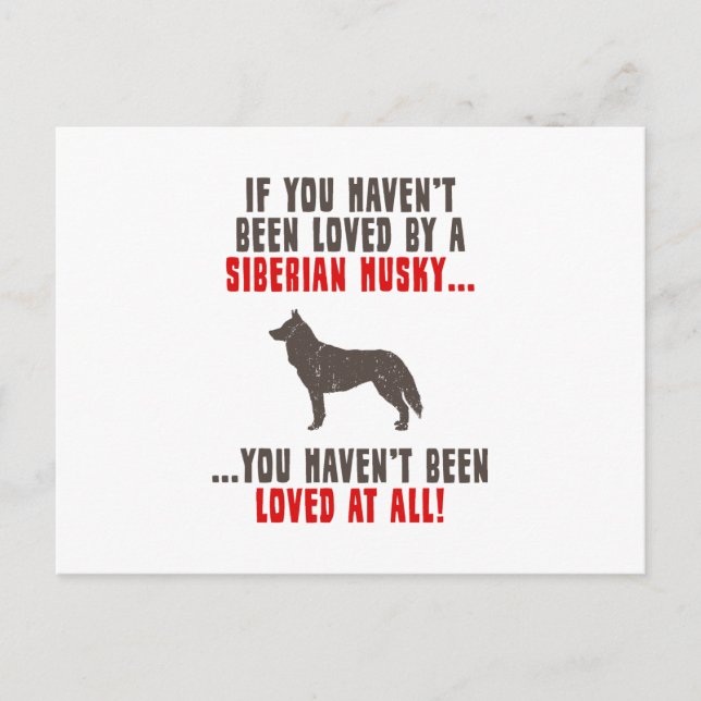 Siberian Husky Postkarte (Vorderseite)