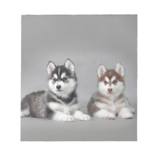 Siberian husky puppies notizblock