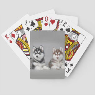 Siberian husky puppies spielkarten