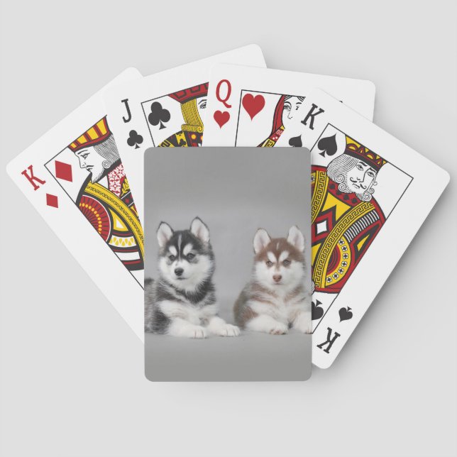 Siberian husky puppies spielkarten (Rückseite)