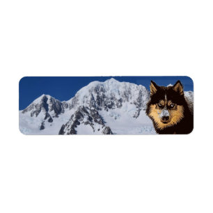 Siberian Husky Rücksendeadresse