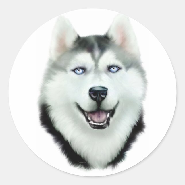 Siberian Husky Runder Aufkleber (Vorderseite)