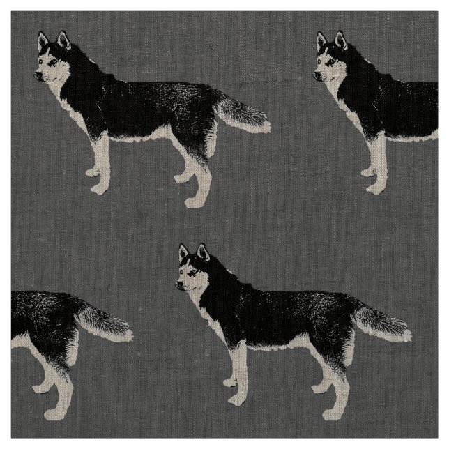 Siberian Husky schwarz weiß stehend Muster Stoff (Muster)