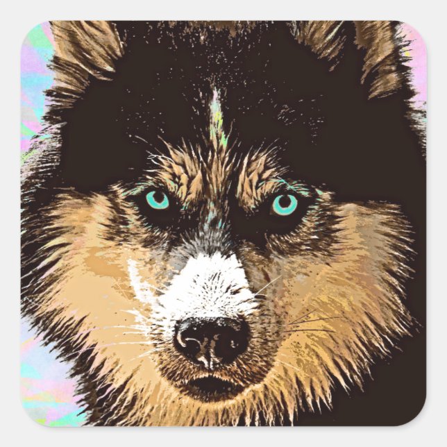 Siberian Husky Square Sticker (Vorderseite)