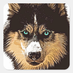 Siberian Husky Square Sticker