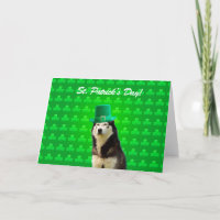 Siberian Husky St Patricks Day Clove Grußkarte