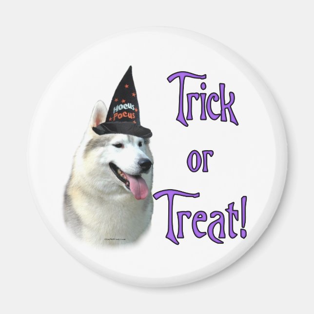 Siberian Husky Trick Magnet (Vorne)