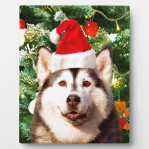 Siberian Husky Weihnachtsbaum Ornamente Schneemann Fotoplatte