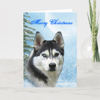Siberian Husky Weihnachtskarte Feiertagskarte