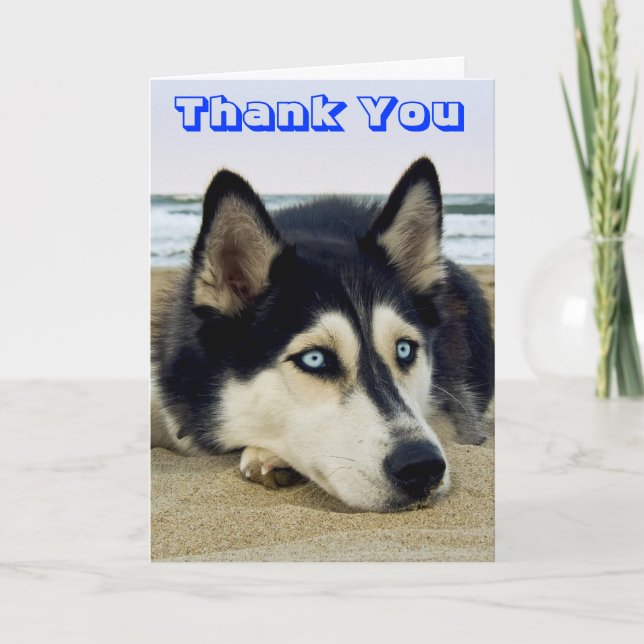 Siberian Husky Welpe Hund Danke, dass Sie Grußkart Dankeskarte (Vorderseite)
