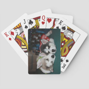 Siberian Husky Welpen Spielkarten