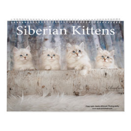 Siberian Kittens Calendar Kalender