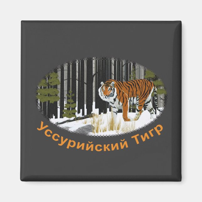 Siberian Tiger Magnet (Vorne)