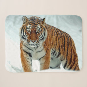 SIBERIAN TIGER SHERPADECKE