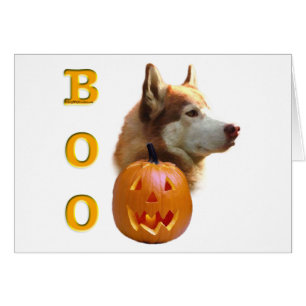 Sibérie Husky (rouge) Boo