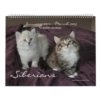 Sibériens Chats Kittens 2012 - Calendrier 2013