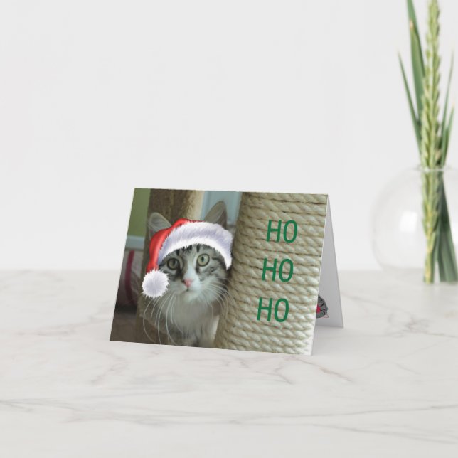Siberische Cat Holiday Greetings Card Feiertagskarte (Vorderseite)