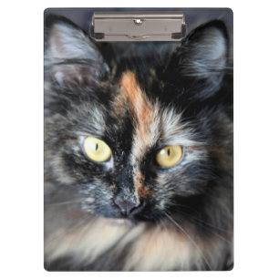 Siberische Katze Klemmbrett