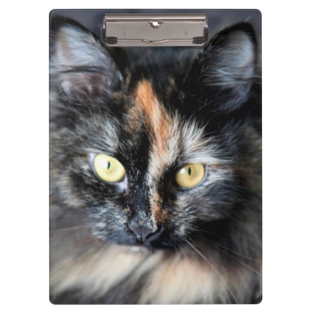 Siberische Katze Klemmbrett (Vorderseite)