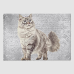 Siberische Katze Seidenpapier