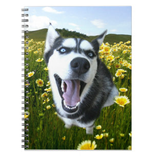 Siberischer Husky Dog in Wildblumen Notebook Notizblock