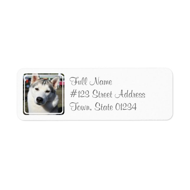 Siberischer Husky-Dog-Postleitzahl (Vorne)