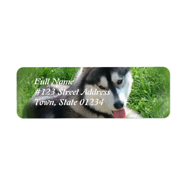 Siberischer Husky-Dog-Postleitzahl (Vorne)