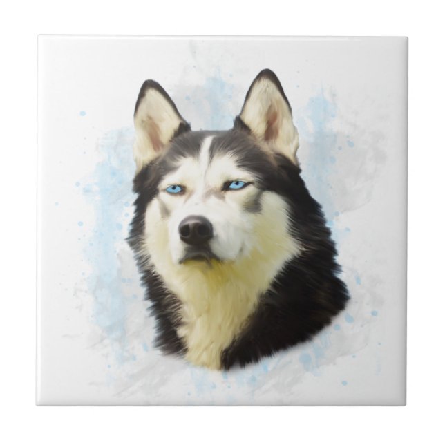 Siberischer Husky Hund Farbe Farbe Farbe Malerei Fliese (Vorderseite)