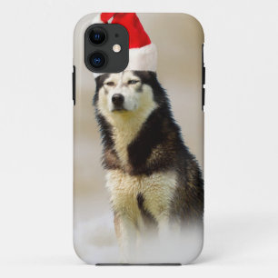 Siberischer Husky-Hund mit Weihnachtsmannmütze im  title_seo2