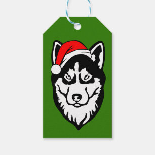 Siberischer Husky-Hund mit Weihnachtsmannmütze im  Geschenkanhänger