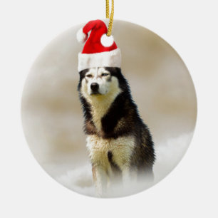 Siberischer Husky-Hund mit Weihnachtsmannmütze im  Keramikornament
