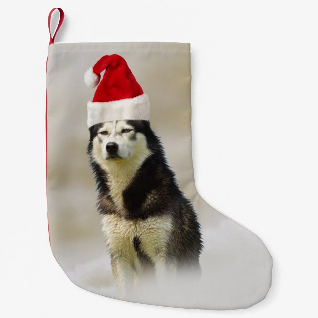 Siberischer Husky-Hund mit Weihnachtsmannmütze im  Kleiner Weihnachtsstrumpf (Vorderseite)