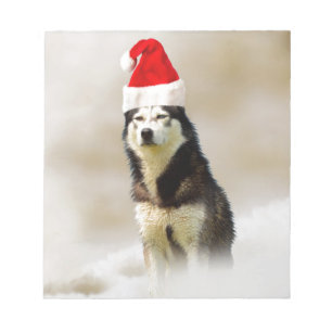 Siberischer Husky-Hund mit Weihnachtsmannmütze im Notizblock