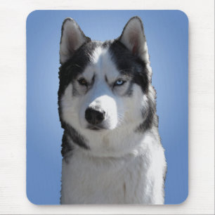 Siberischer Husky Mousepad gibt Malamute Schlitten