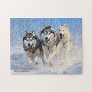 Siberischer Husky-Pack 2