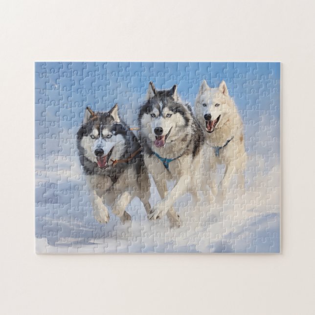 Siberischer Husky-Pack 2 (Horizontal)