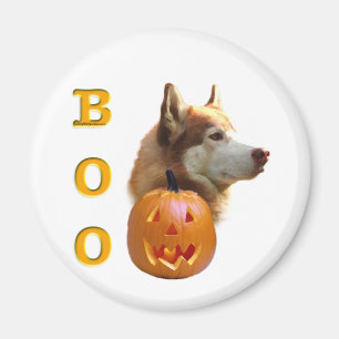 Siberischer Husky (rot) Boo Magnet