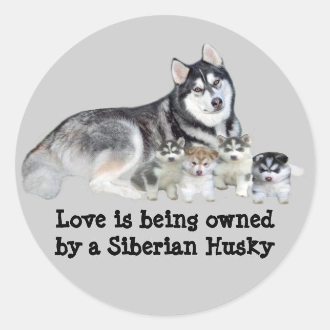 Siberischer Husky und Welpen Runder Aufkleber (Vorderseite)