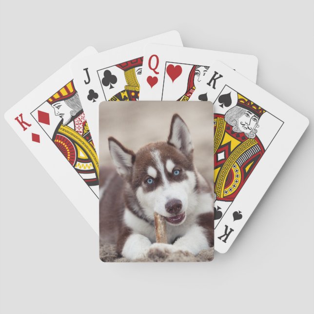 Siberischer Husky-Welpe am Strand Spielkarten (Rückseite)