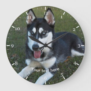 Siberischer Husky-Welpe Große Wanduhr