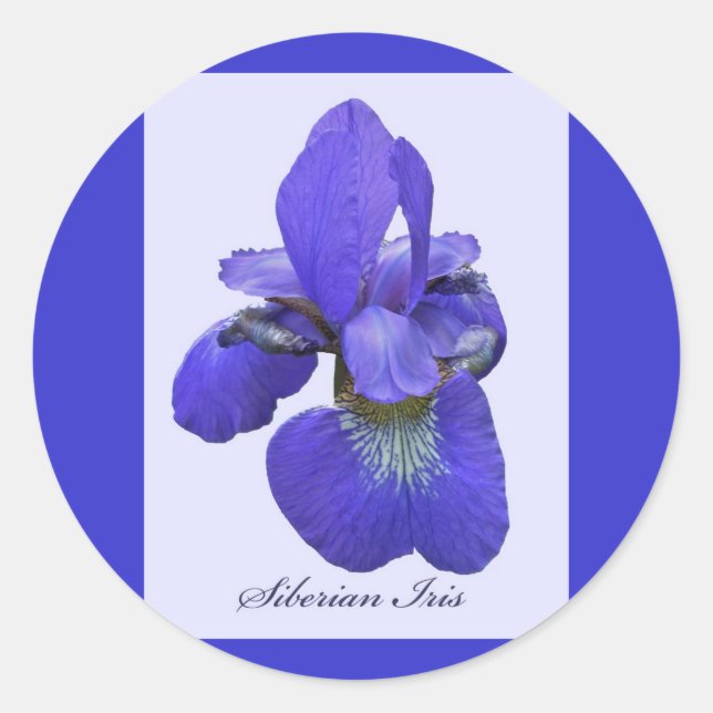 Siberischer Iris-Aufkleber Runder Aufkleber (Vorderseite)