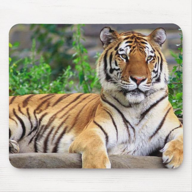 Siberischer Tiger Mousepad (Vorne)