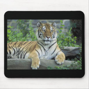 Siberischer Tiger Mousepad