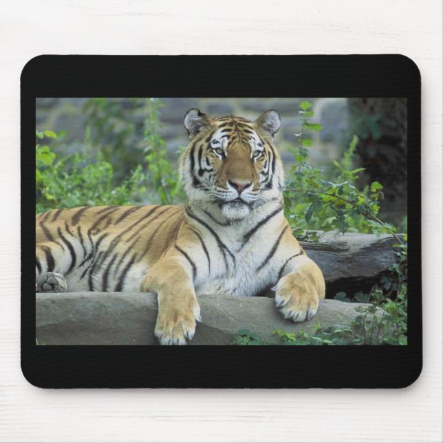 Siberischer Tiger Mousepad (Vorne)
