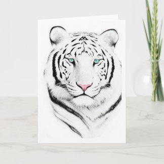 Siberischer Weißer Tiger Karte