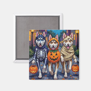 Sibirian Husky beim Trick-or-Treaten Halloween-Kos Magnet
